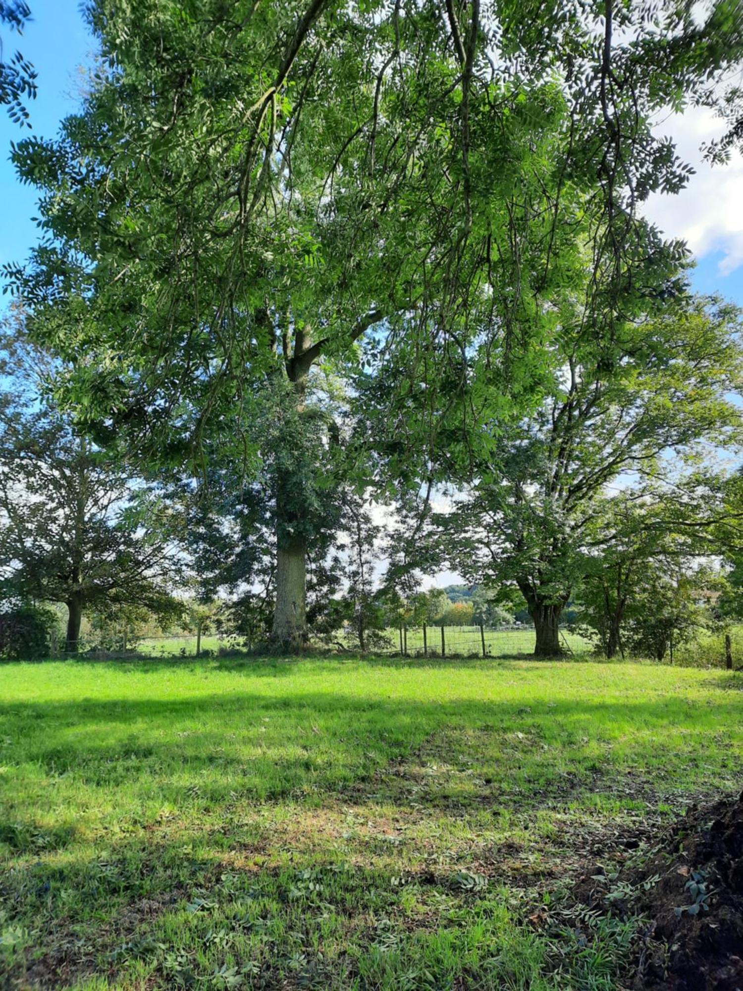 B&B Gellick Lanaken Dış mekan fotoğraf
